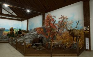 Expozícia poľovníctva a ochrany zveri Múzeum Trebišov