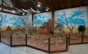 Expozícia poľovníctva a ochrany zveri Múzeum Trebišov
