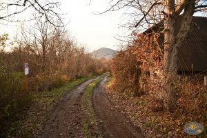 Vinohradnícky náučný chodník – z Vinianského jazera