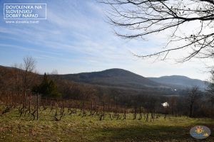 Vinohradnícky náučný chodník – z obce Vinné